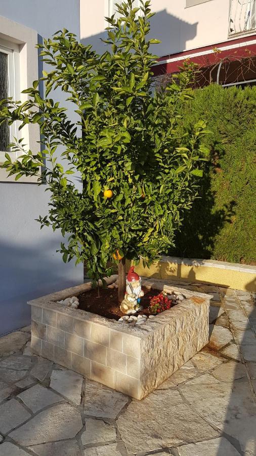 Cosy Villa Near The Beach Zadar Luaran gambar