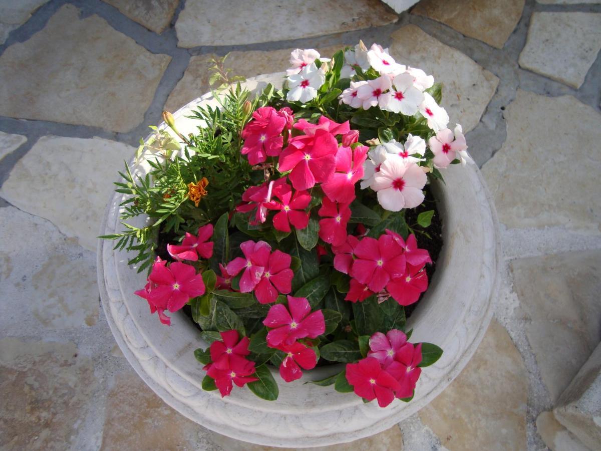 Cosy Villa Near The Beach Zadar Luaran gambar